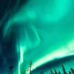 Arctic Circle 3 * רובניימי