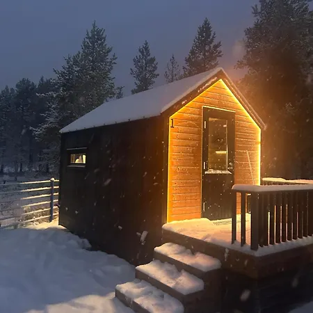 Arctic Circle 3