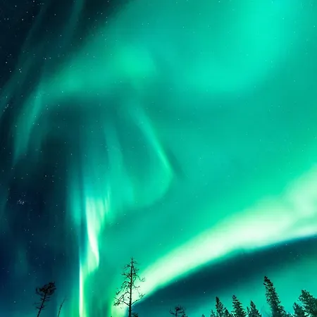 Arctic Circle 3 * Rovaniemi