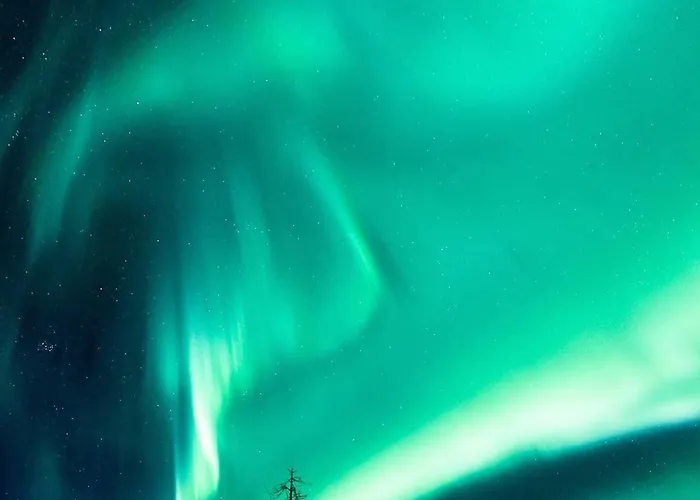 Arctic Circle 3 * Rovaniemi